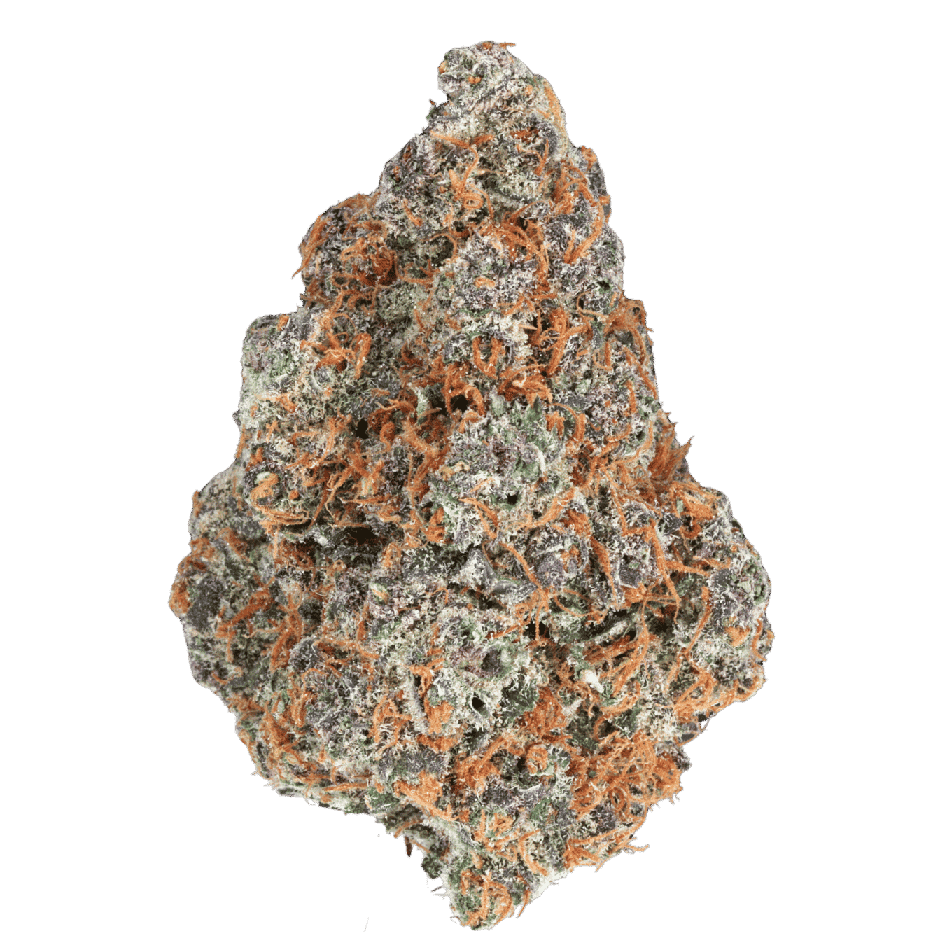 Rainbow Belts – AAA