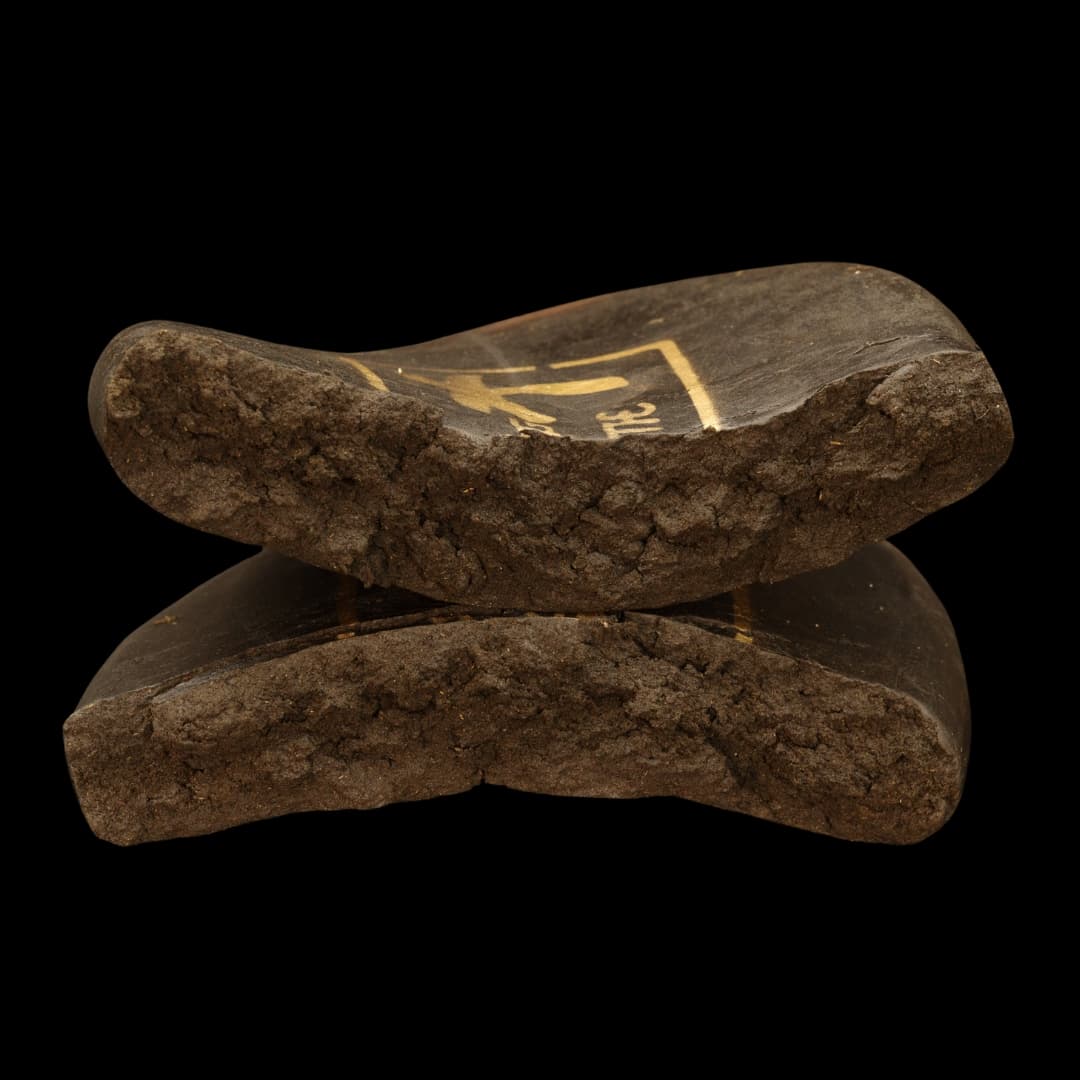 Afghan Palm Tree - Hash