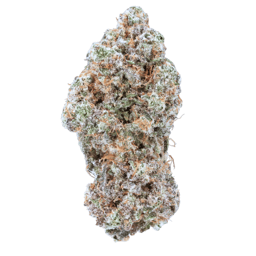 Alien Cookies - AAA