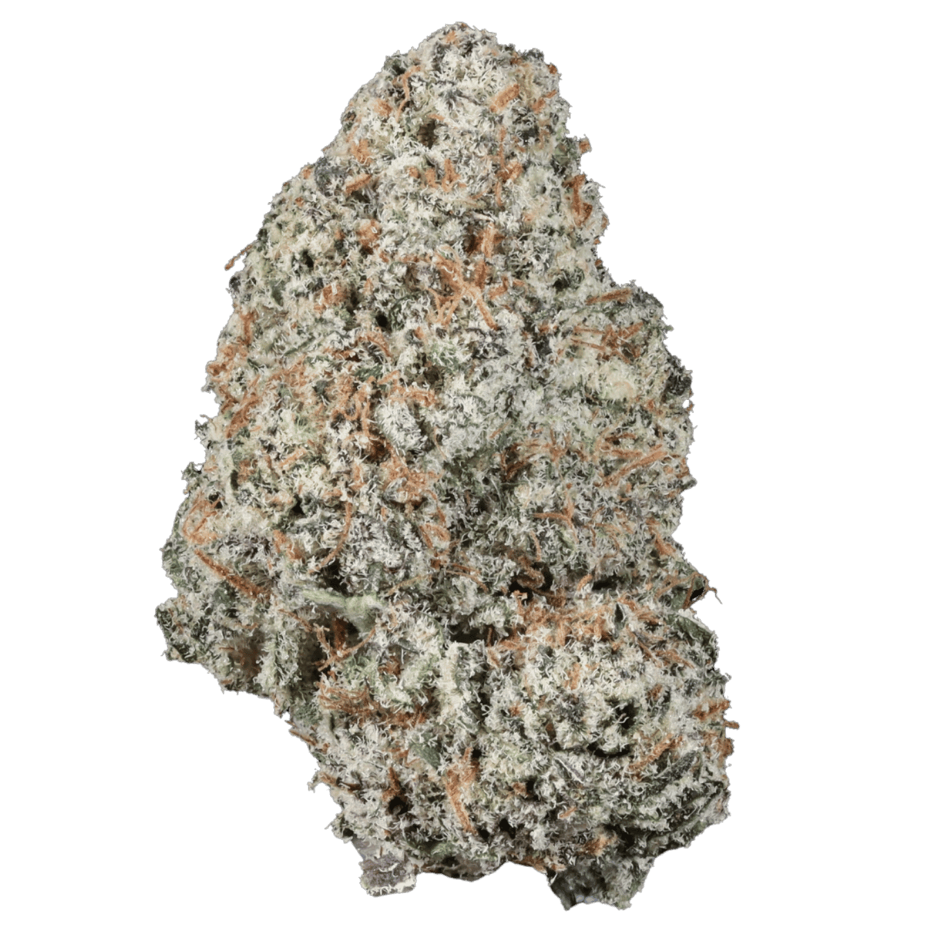 Crunch Berries - AAA