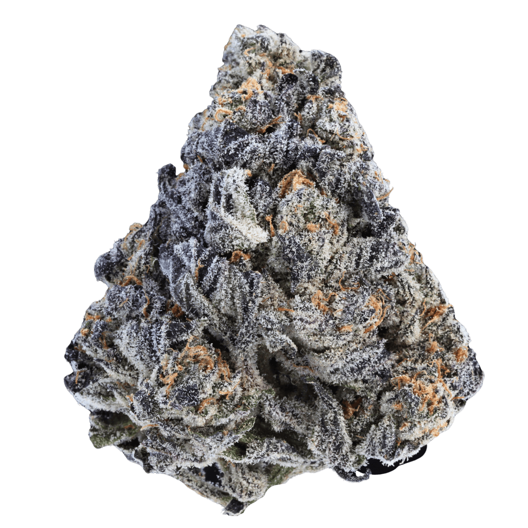 Forbidden Fruit - AAA