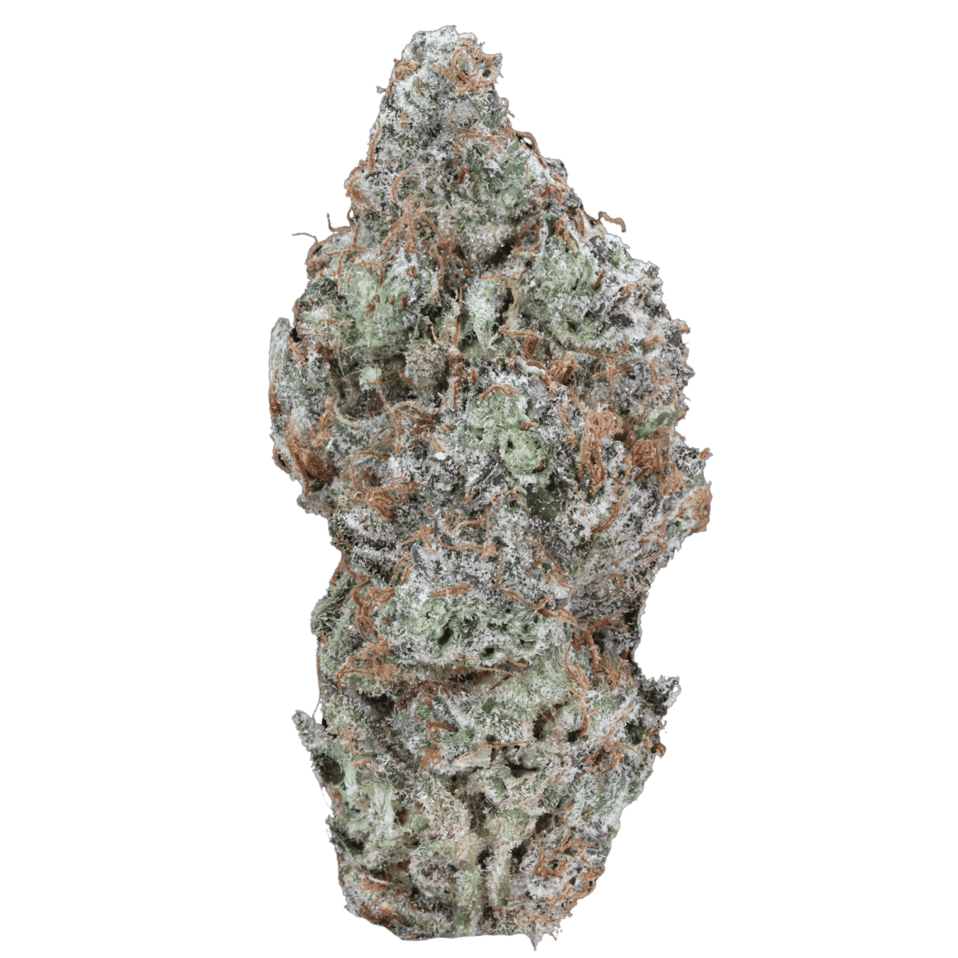 Frosted Fruitcake – AAAA
