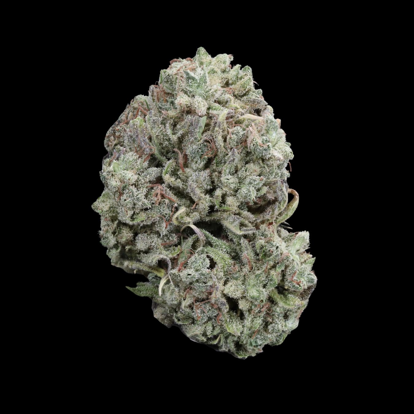 Froot by the Foot - Organic Greenhouse (New Stock)