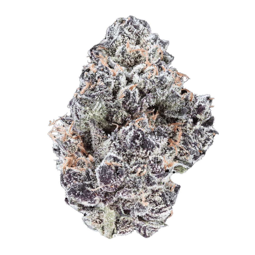 Jet Fuel Gelato - AAAA