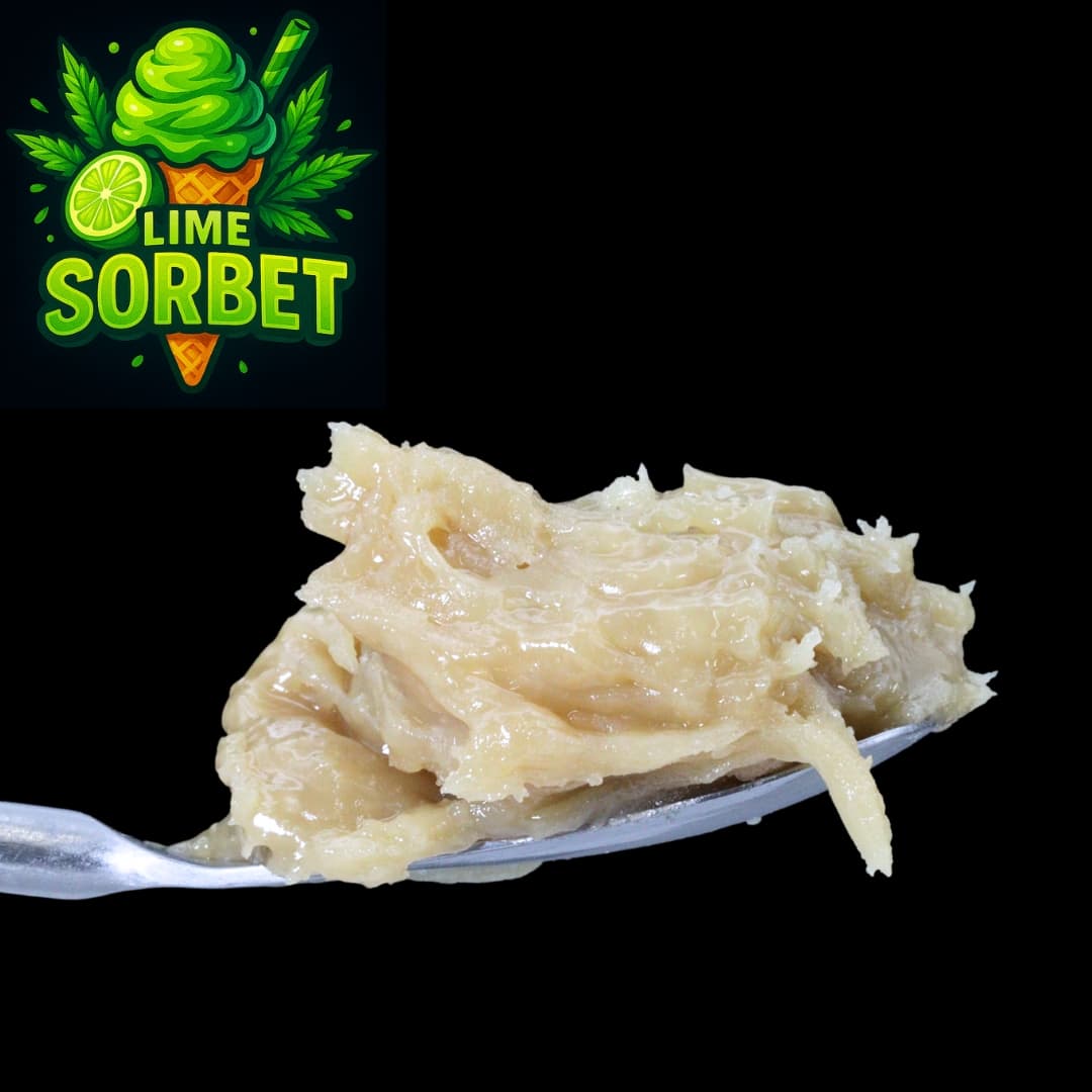 Lime Sorbet - Live Rosin (AAA)