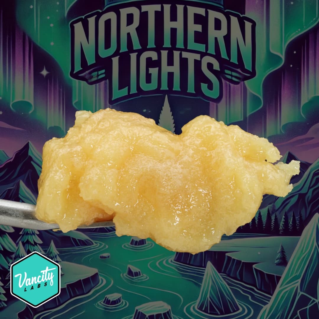 Northern Lights - FSE