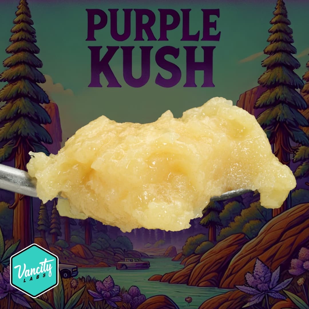 Purple Kush - Live Resin