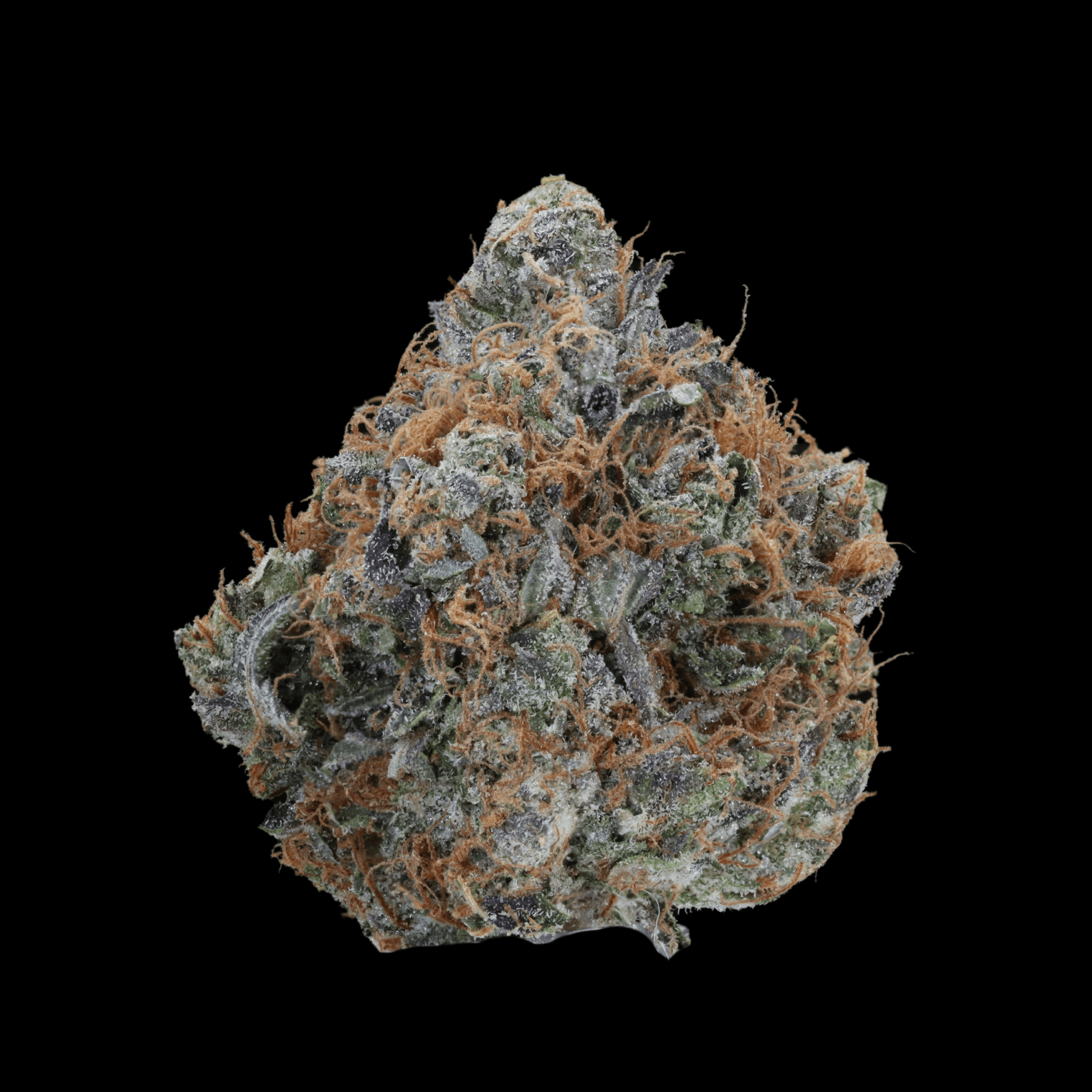 Bubba - AAA