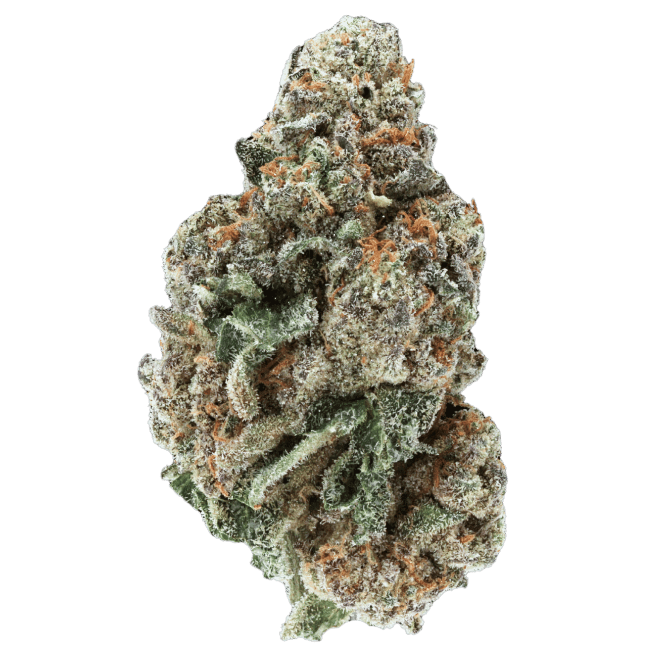 Rainbow Cake - AAA