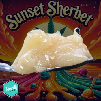 Close-up of Sunset Sherbets Live Resin by VanCity Labs, premium cannabis concentrate with high THC Canada, best extracts online Canada, cheap dabs