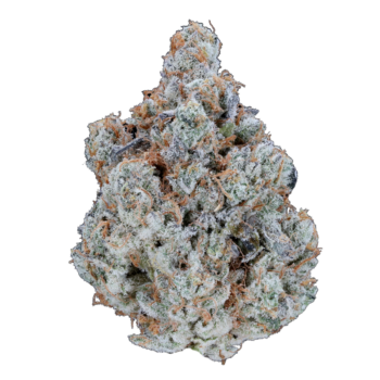 Animal Cookies Strain by VanCity Labs - premium THC cannabis flower with earthy, sweet flavor | Dispensary Near Me