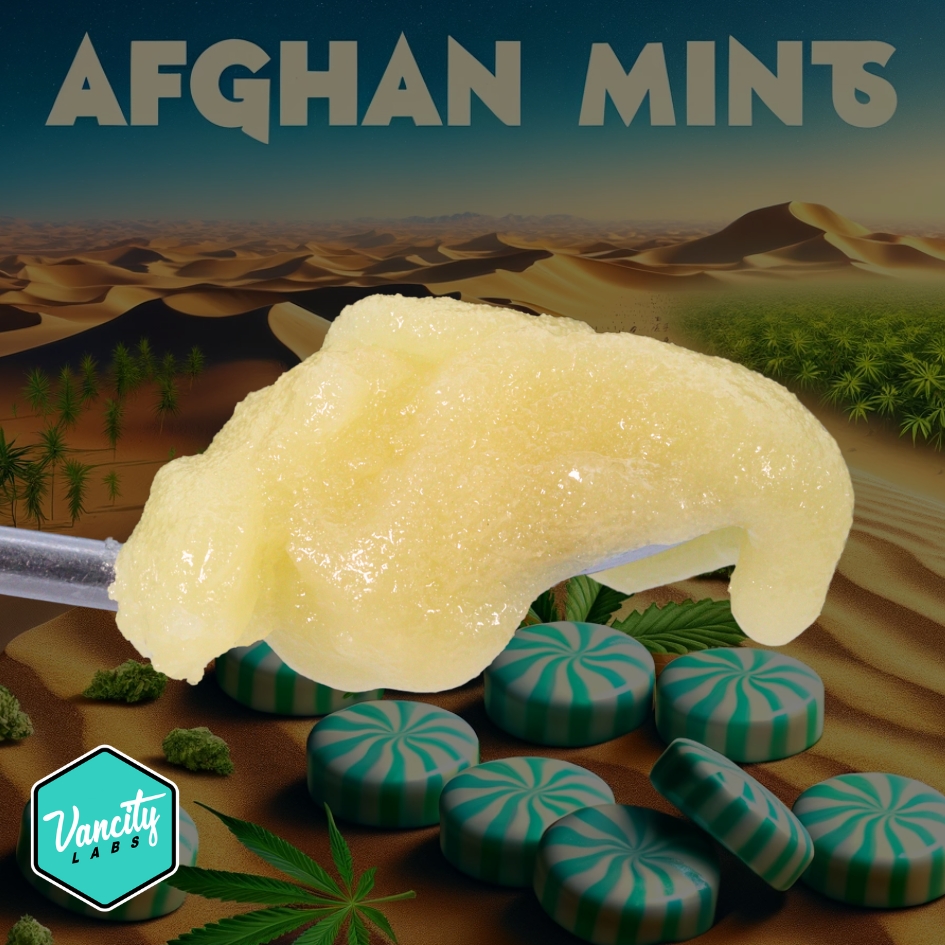 Afghan Mints FSE by VanCity Labs - high-potency full-spectrum cannabis extract with rich, minty flavor | Dispensary Near Me