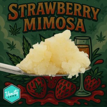 Close-up of Strawberry Mimosa FSE by VanCity Labs – premium full-spectrum extract with vibrant strawberry and citrus flavors, high THC Canada, best extracts online Canada, cheap dabs"