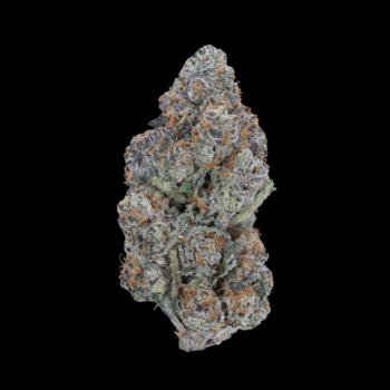 Grease Monkey AAA by VanCity Labs - premium THC cannabis flower with sweet, earthy flavor | Dispensary Near Me