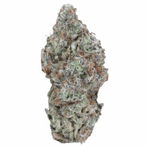 Frosted Fruitcake AAA by VanCity Labs - premium THC cannabis flower with sweet, fruity aroma | Dispensary Near Me