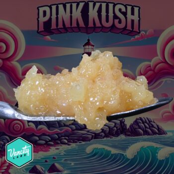 Close-up of Pink Kush Strain Live Resin by VanCity Labs, premium full-spectrum extract, high THC Canada, best extracts online in Canada, perfect for cheap dabs
