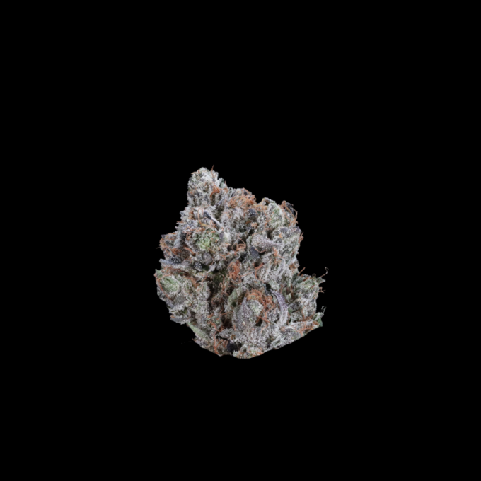Close-up of Death Bubba Strain cannabis small buds by VanCity Labs – best weed, premium West Coast cannabis, low price buds, cheap weed