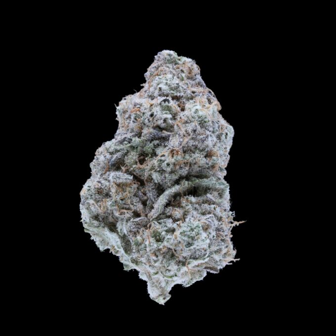 Close-up of Mac 1 strain Flower by VanCity Labs – premium BC Bud Online, best weed from West Coast cannabis, and low price buds.
