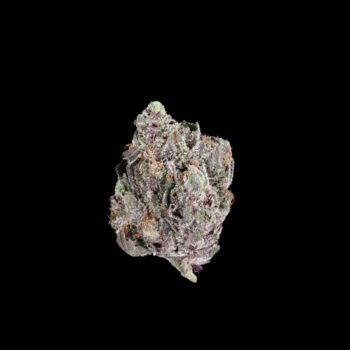 Close-up of Rockstar Strain cannabis small buds by VanCity Labs – best weed, premium West Coast cannabis, low price buds, cheap weed