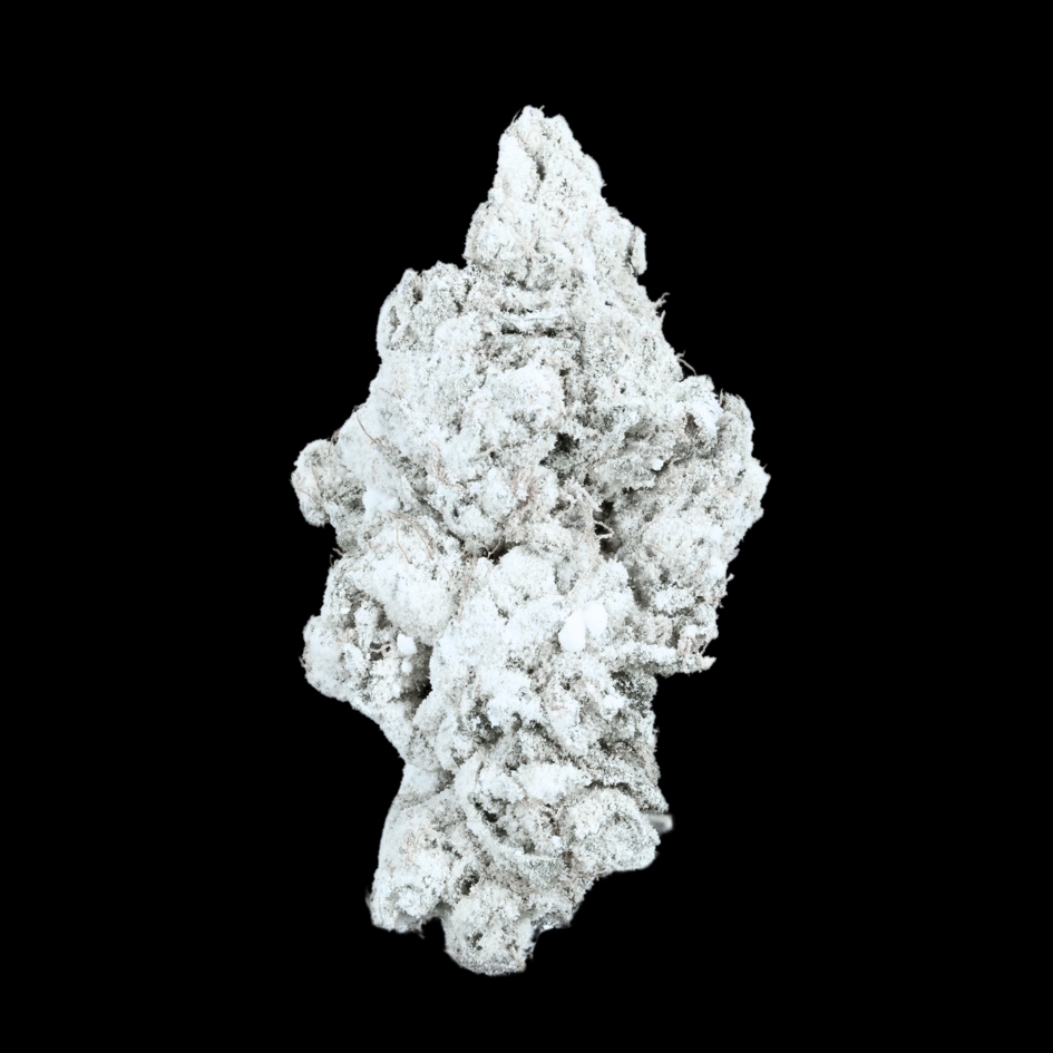 【スバ山】 魔法のパワーストーン prod by BAD ENDO スバ山様専用】 魔法のパワーストーン prod by BAD ENDO