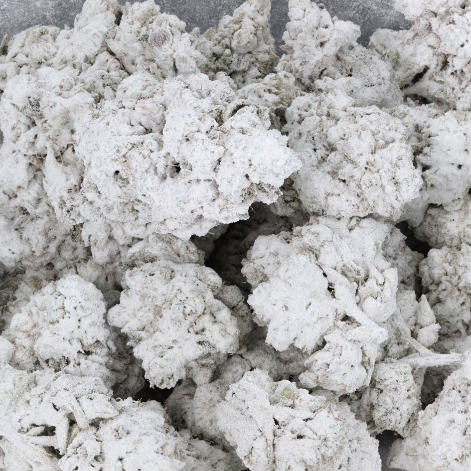 【スバ山】 魔法のパワーストーン prod by BAD ENDO スバ山様専用】 魔法のパワーストーン prod by BAD ENDO