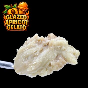 Close-up of Glazed Apricot Gelato Live Rosin – golden, creamy solventless cannabis concentrate by VanCity Labs.