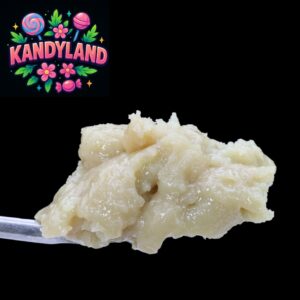 Close-up of Kandyland Live Rosin – sweet golden solventless cannabis extract by VanCity Labs.