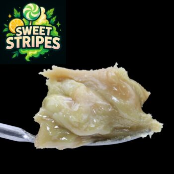 High-quality close-up of Sweet Stripes Live Rosin, showcasing golden texture and premium solventless concentrate. Buy Live Rosin Canada.