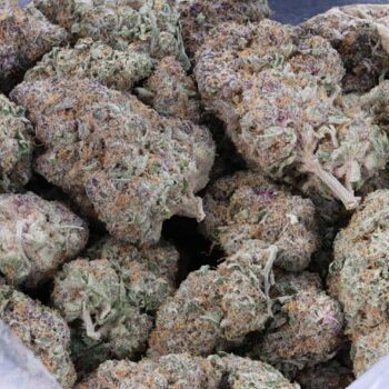 Bag shot of Rainbow Chip flower – colourful hybrid cannabis buds by VanCity Labs.