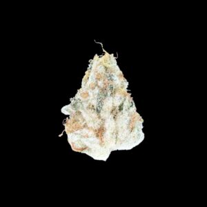 Close-up of Ghost Glue cannabis flower – frosty hybrid bud with grape-citrus aroma and amber hairs.