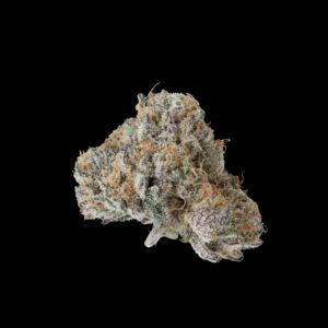 Close-up of Forbidden Fruit small buds – colourful indica hybrid flower with sweet tropical aroma.