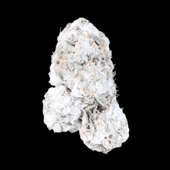 Close-up of Pine Tar THCa Snowball – dense BC indica nug coated in THCa isolate.