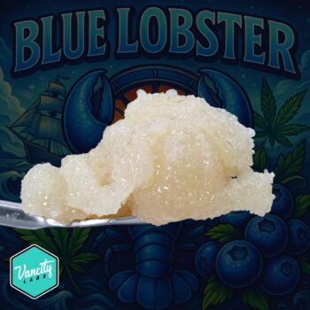 Blue Lobster Live Resin on dab tool – golden hybrid THC extract with blueberry gas aroma