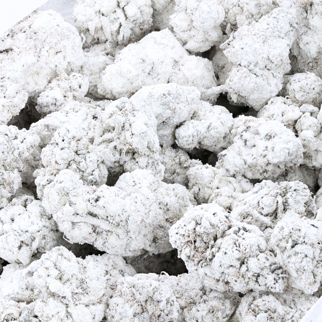 THCa Snowballs - Violet Fog AAAA