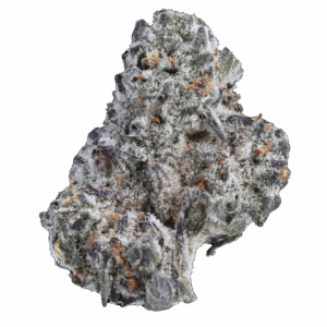 Coma Strain AAA flower close-up with frosty trichomes